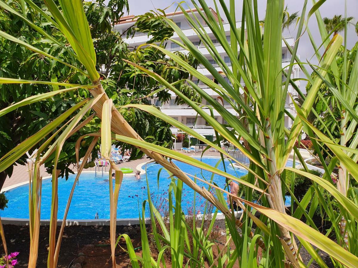 Spectacular Renovated Apartment, 5 Min To Camison Beach, With Aircon Arona  Luaran gambar