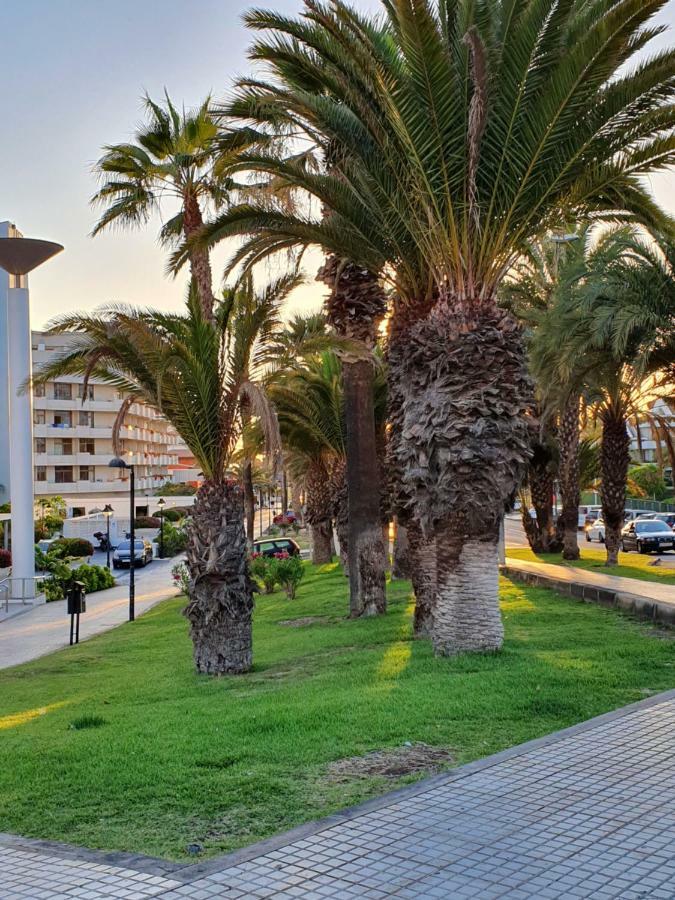 Spectacular Renovated Apartment, 5 Min To Camison Beach, With Aircon Arona  Luaran gambar